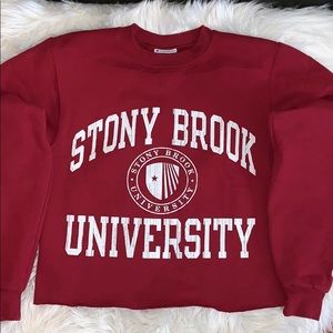 Stony Brook University Cropped Crewneck